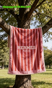 Hermès Style Flannel Sofa Throw Blanket IMG_4984